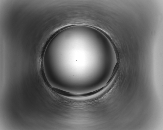 X0000088691507200705311147