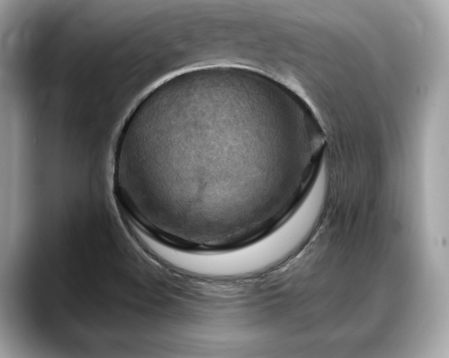 X0000088691508200705311147