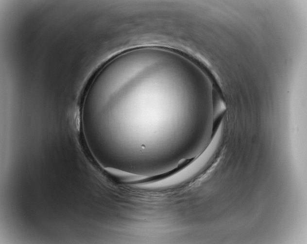 X0000088691509200705311147