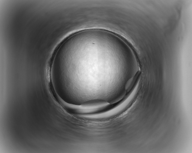 X0000088691510200705311147
