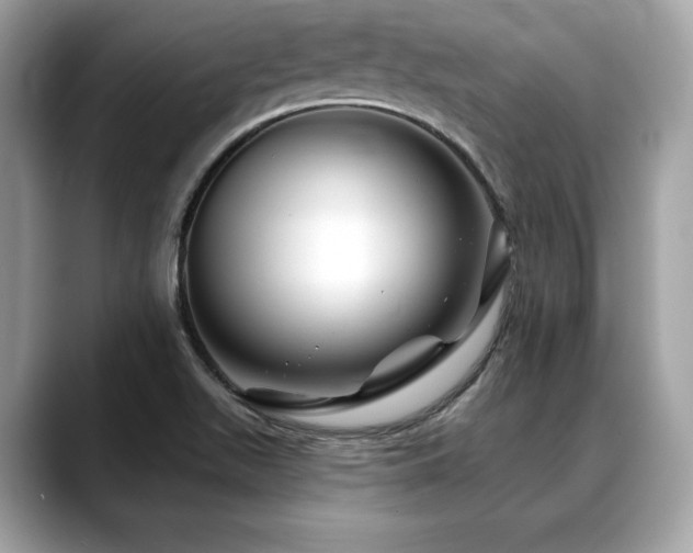 X0000088691511200705311147