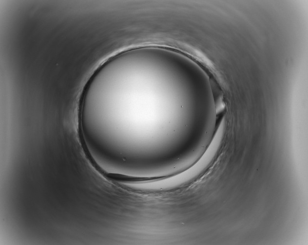 X0000088691512200705311147