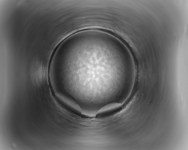X0000088691513200705311147