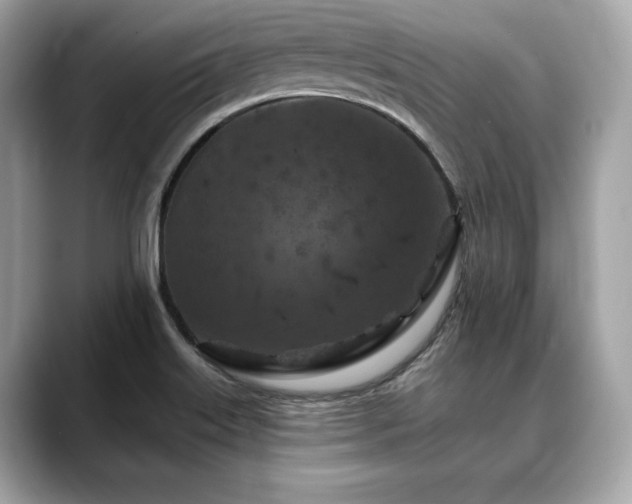 X0000088691515200705311147