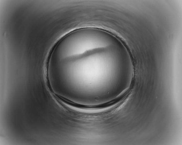 X0000088691517200705311147