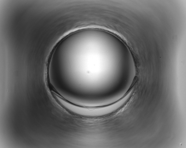 X0000088691518200705311147