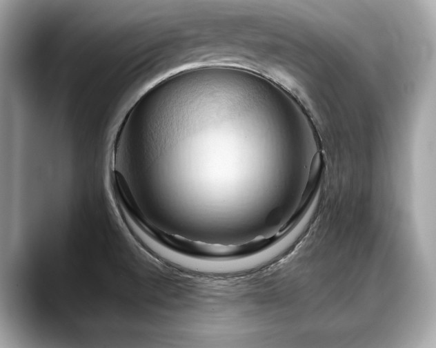 X0000088691520200705311147