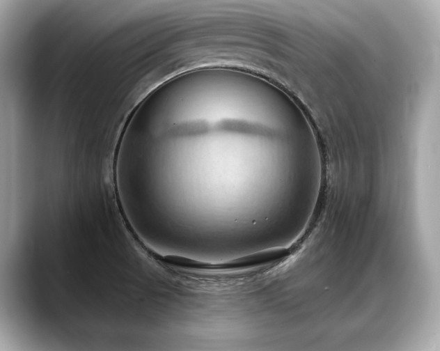 X0000088691521200705311147