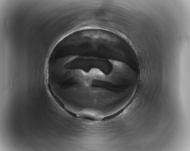 X0000088691522200705311147