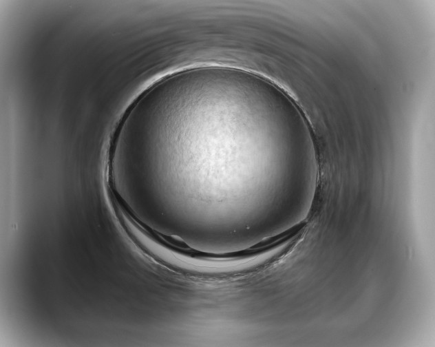 X0000088691523200705311147