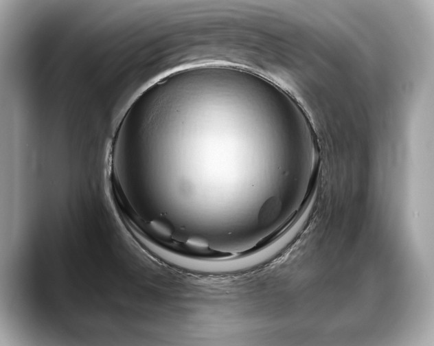 X0000088691524200705311147