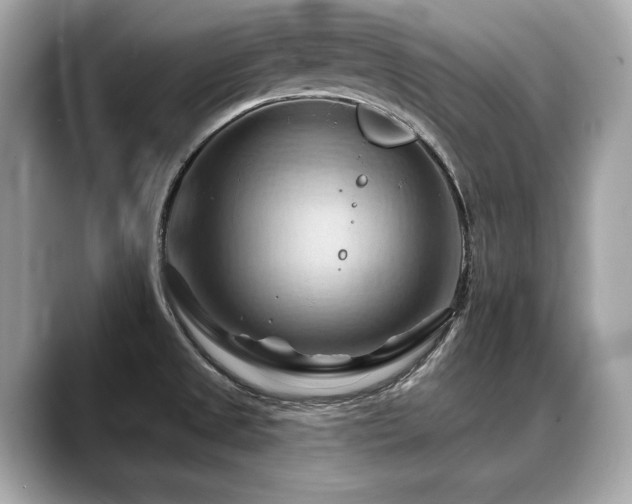 X0000088691525200705311147