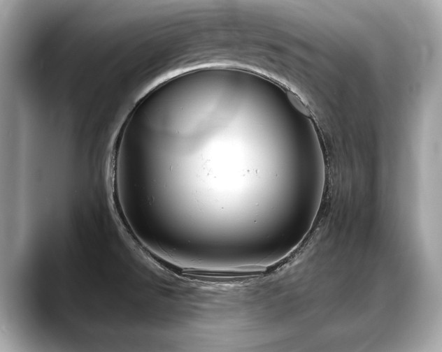 X0000088691526200705311147