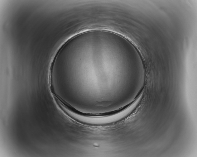 X0000088691527200705311147