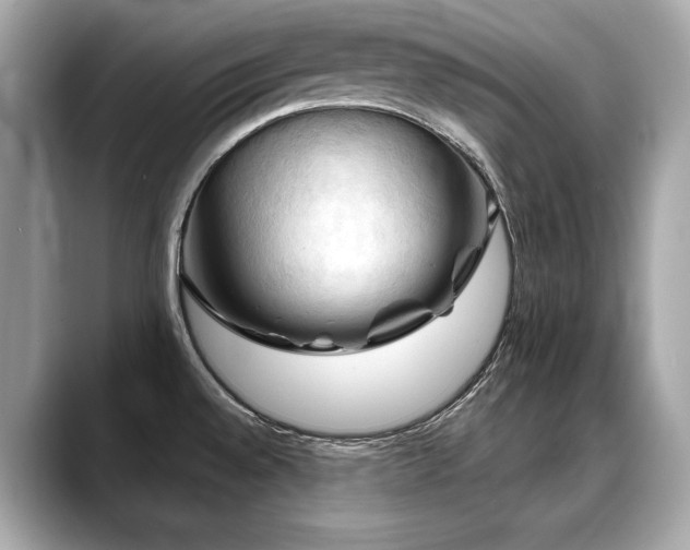 X0000088691528200705311147