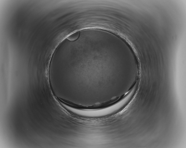 X0000088691529200705311147