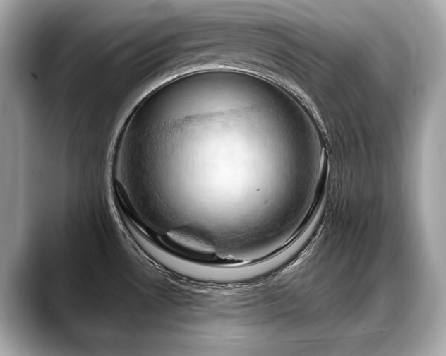 X0000088691530200705311147