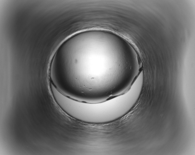 X0000088691532200705311147