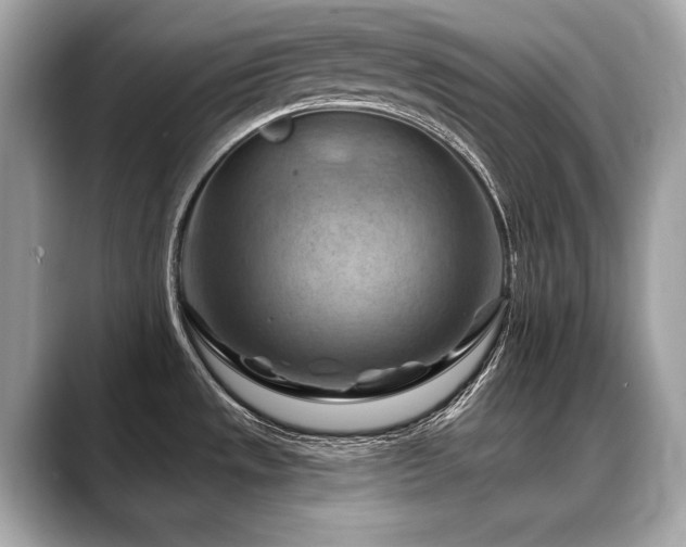 X0000088691533200705311147