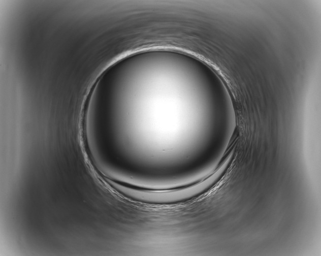 X0000088691534200705311147
