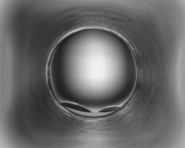 X0000088691535200705311147
