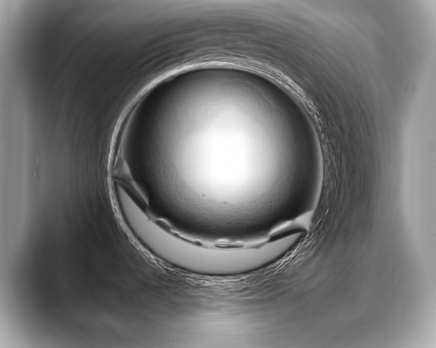 X0000088691536200705311147
