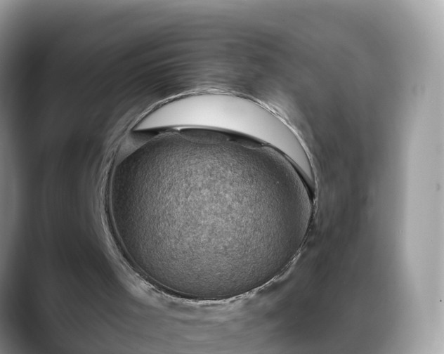 X0000088690001200706071529