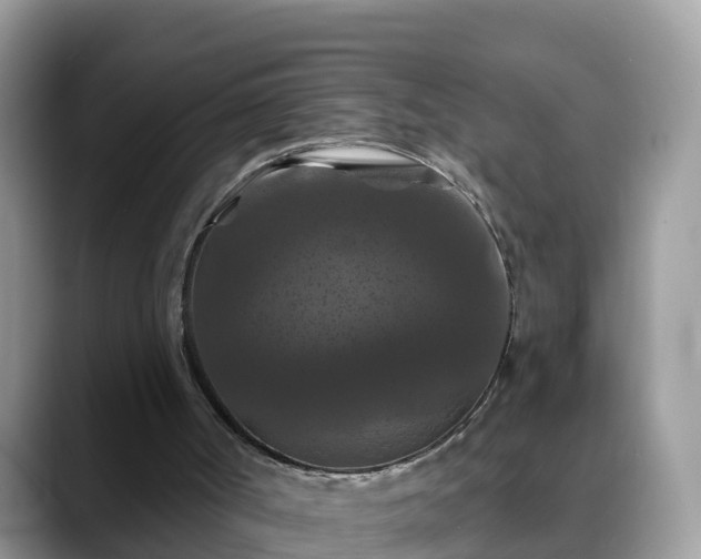X0000088690002200706071529