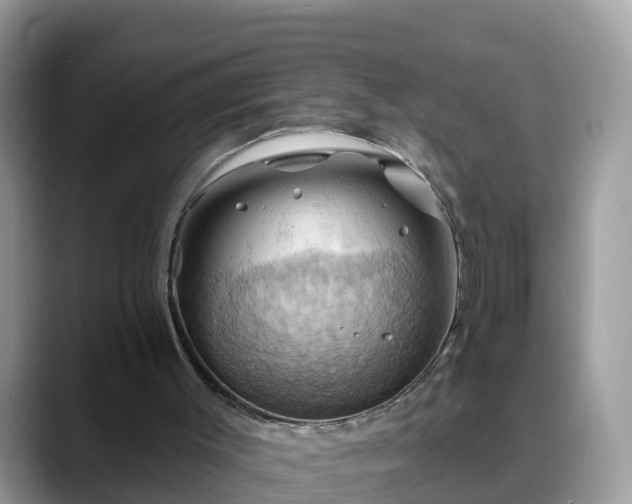 X0000088690003200706071529