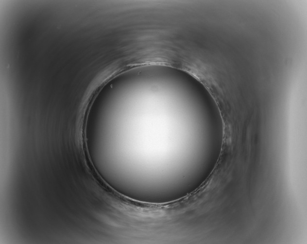 X0000088690004200706071529