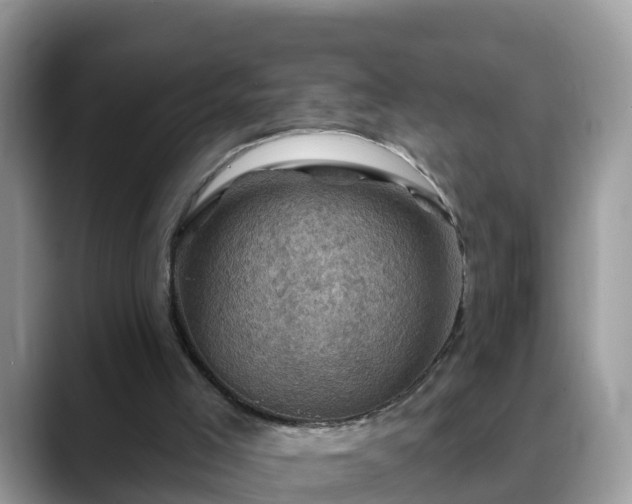 X0000088690005200706071529