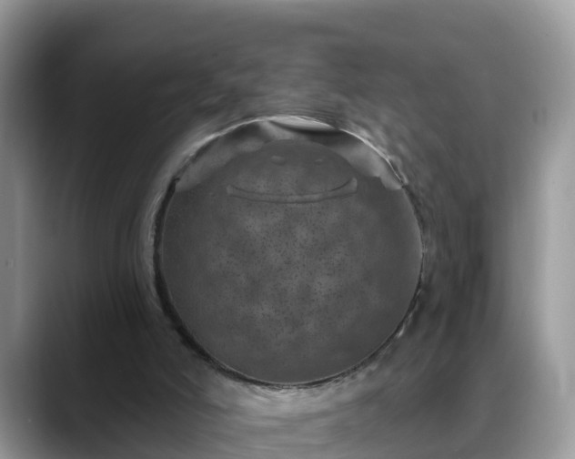 X0000088690006200706071529