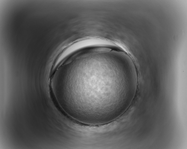 X0000088690007200706071529