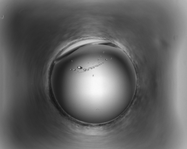 X0000088690008200706071529