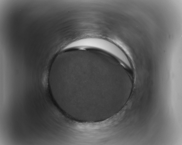 X0000088690009200706071529