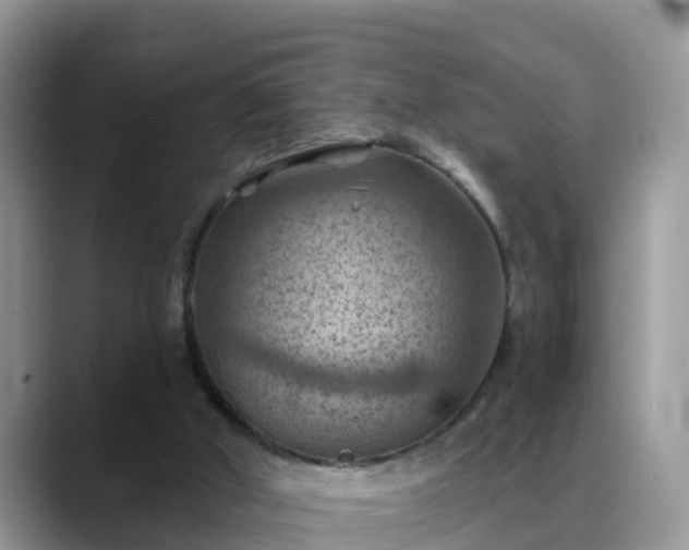 X0000088690010200706071529