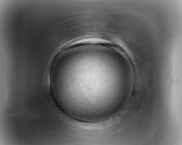 X0000088690011200706071529
