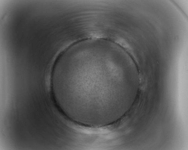 X0000088690012200706071529