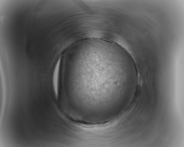 X0000088690013200706071529