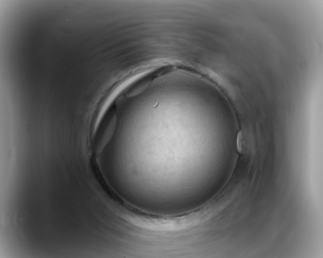 X0000088690015200706071529