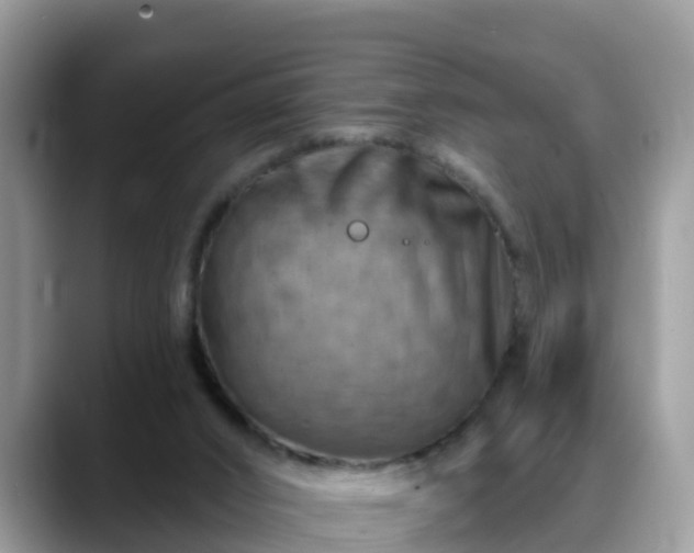 X0000088690016200706071529