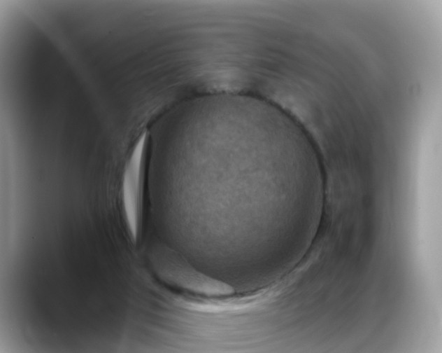 X0000088690017200706071529