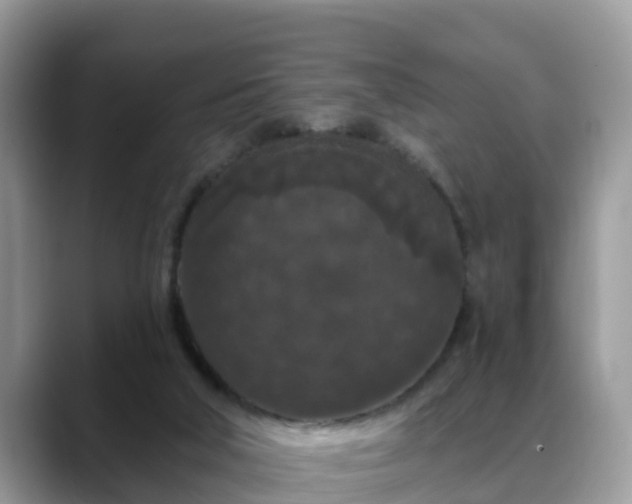 X0000088690018200706071529