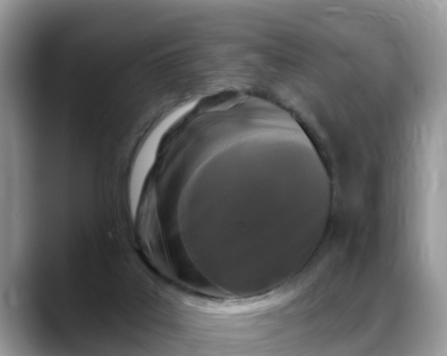 X0000088690019200706071529
