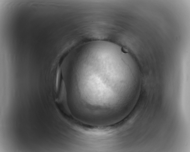 X0000088690020200706071529