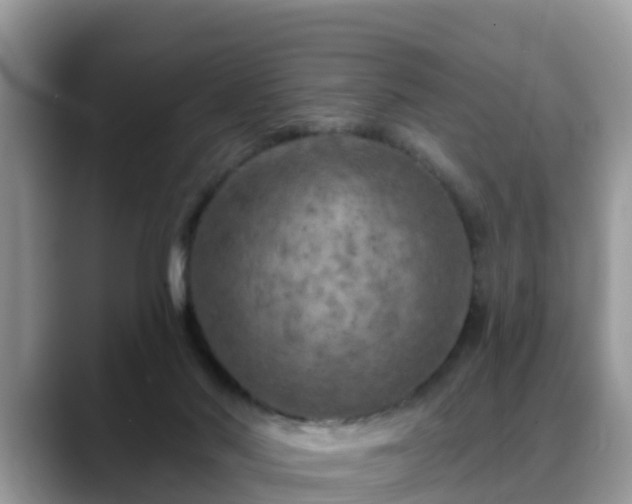 X0000088690022200706071529