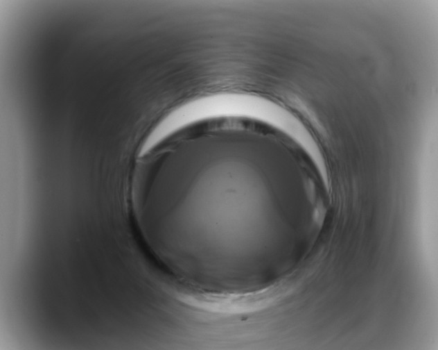 X0000088690023200706071529