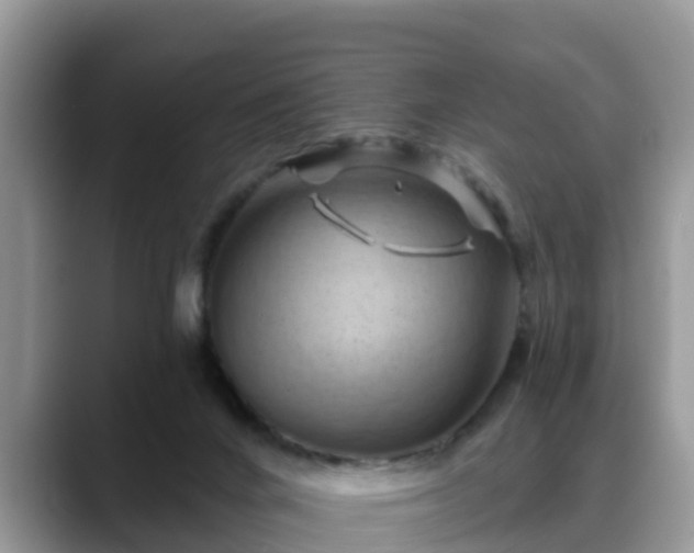 X0000088690024200706071529