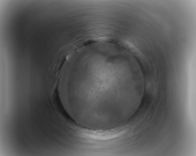 X0000088690026200706071529