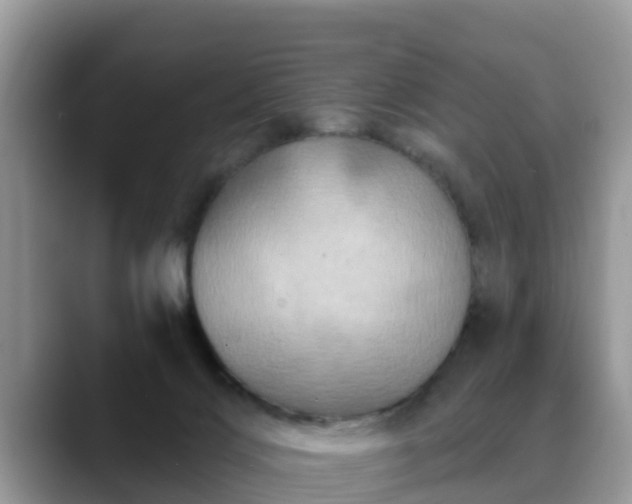 X0000088690028200706071528